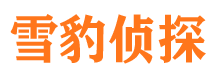 禹会侦探公司